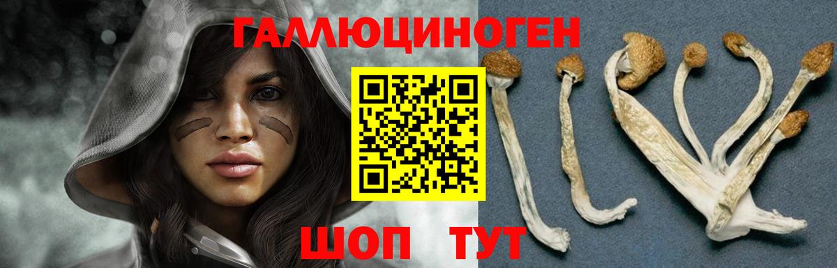 Псилоцибиновые грибы мухоморы  Галлюциногенные грибы мицелий  Вход с VPN  Усинск 